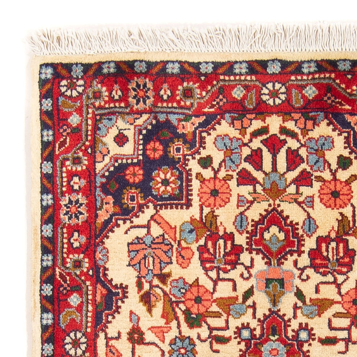 Jozan Tappeto 73x115cm - Tappeto persiano