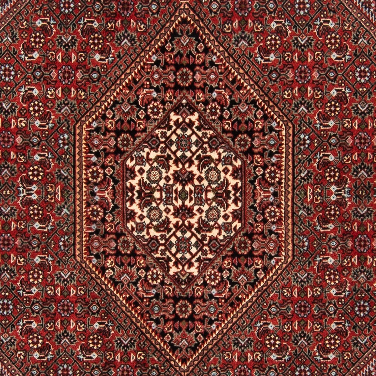 Tappeto Persero - Bidjar - 140 x 92 cm - rosso