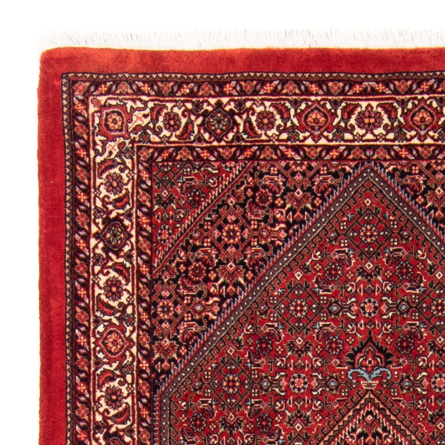 Tappeto Persero - Bidjar - 150 x 90 cm - rosso