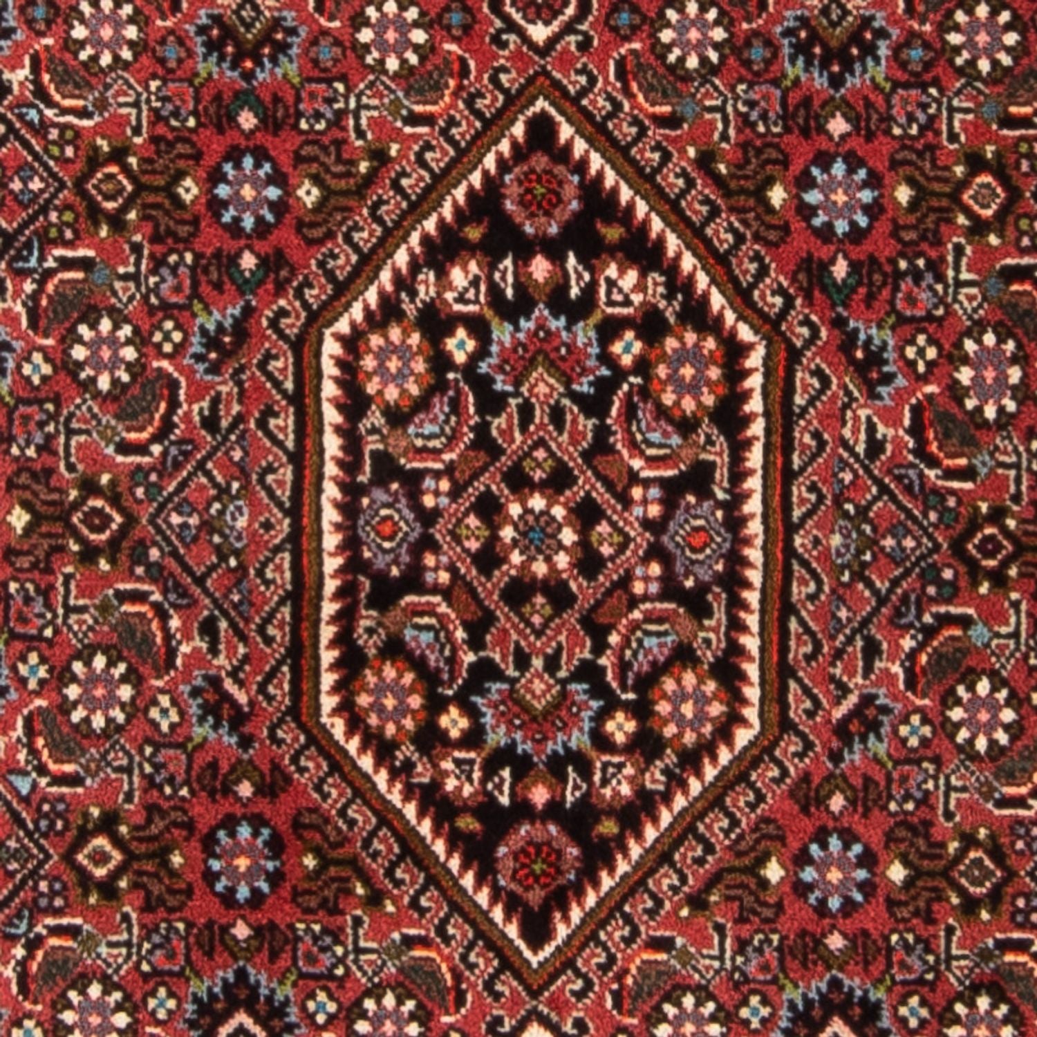 Tappeto Persero - Bidjar - 140 x 82 cm - rosso