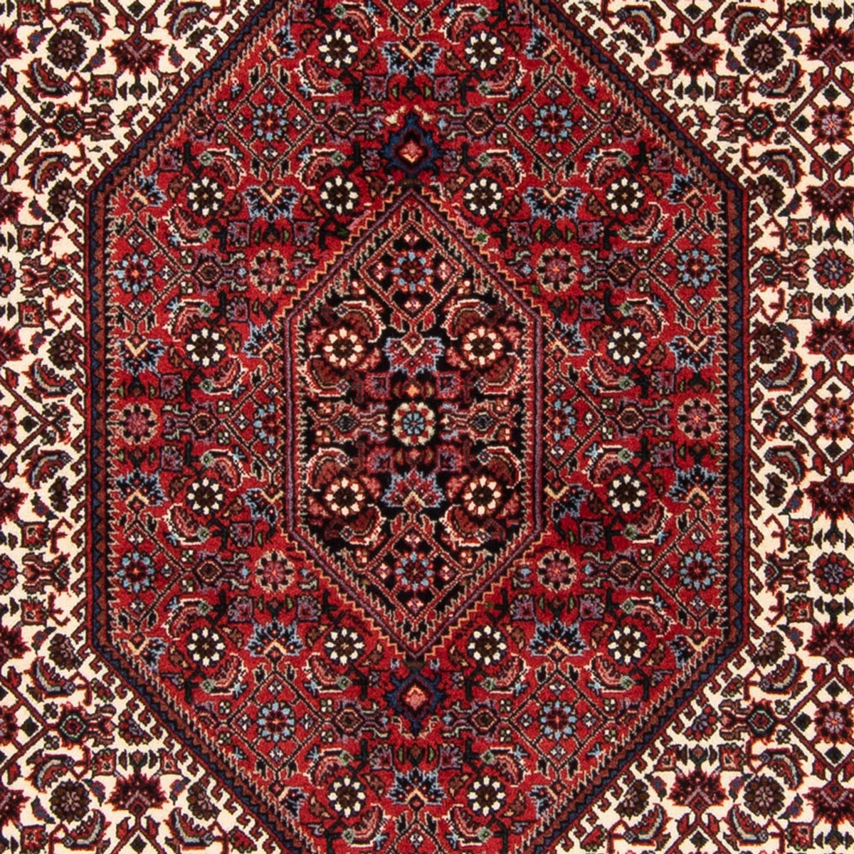 Tappeto Persero - Bidjar - 183 x 114 cm - multicolore