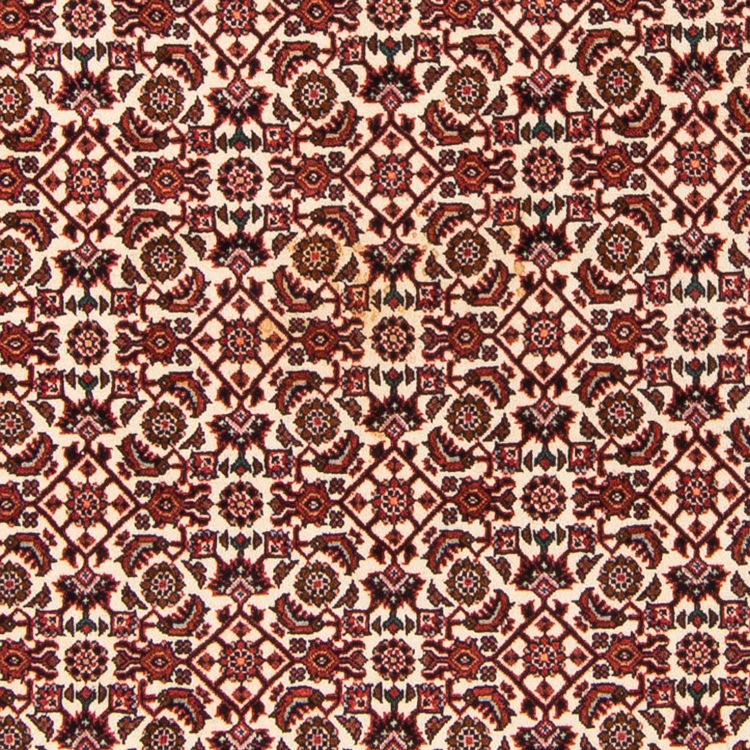 Tappeto Persero - Bidjar - 181 x 110 cm - beige