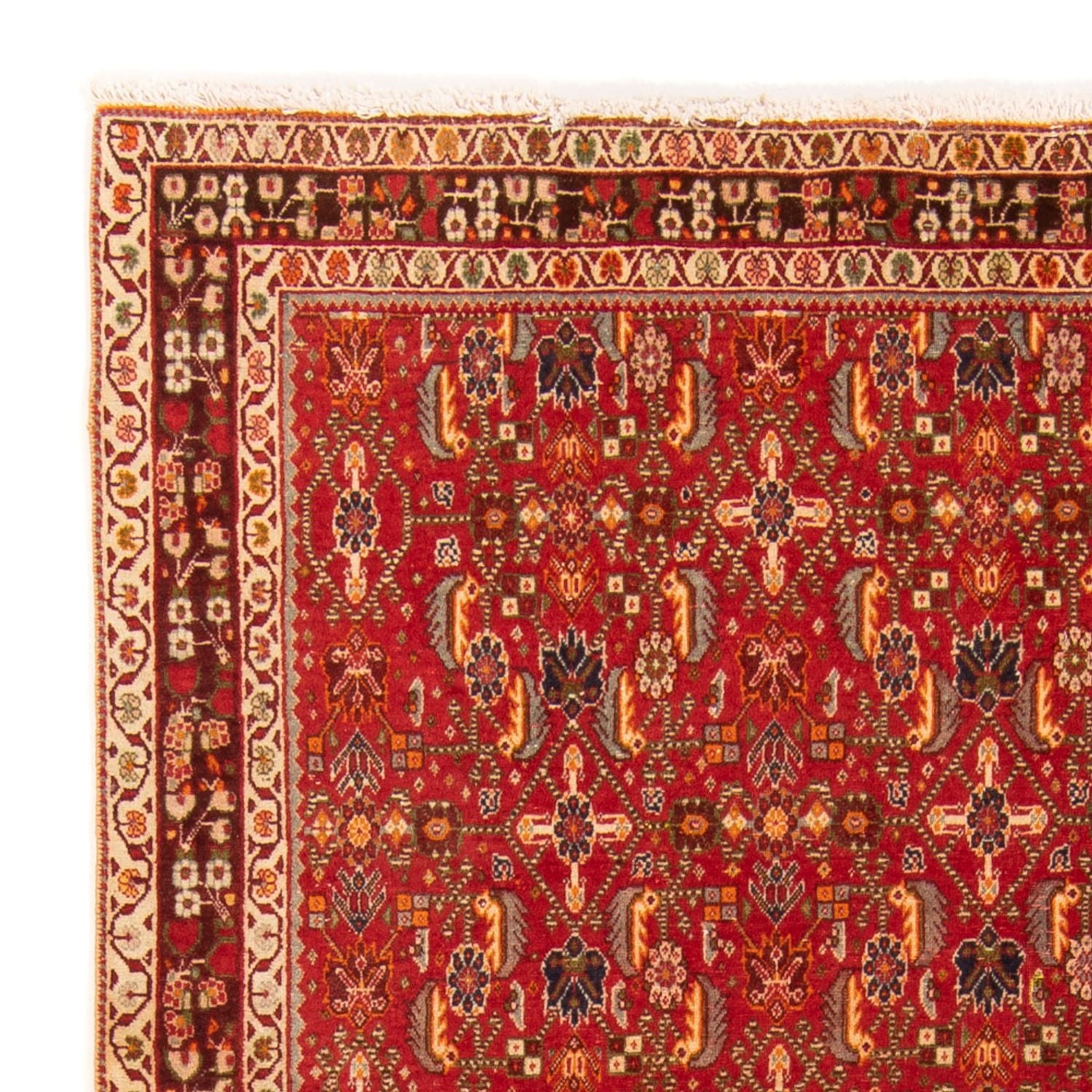 Tappeto Gabbeh - Kashkuli Persero - 192 x 130 cm - rosso