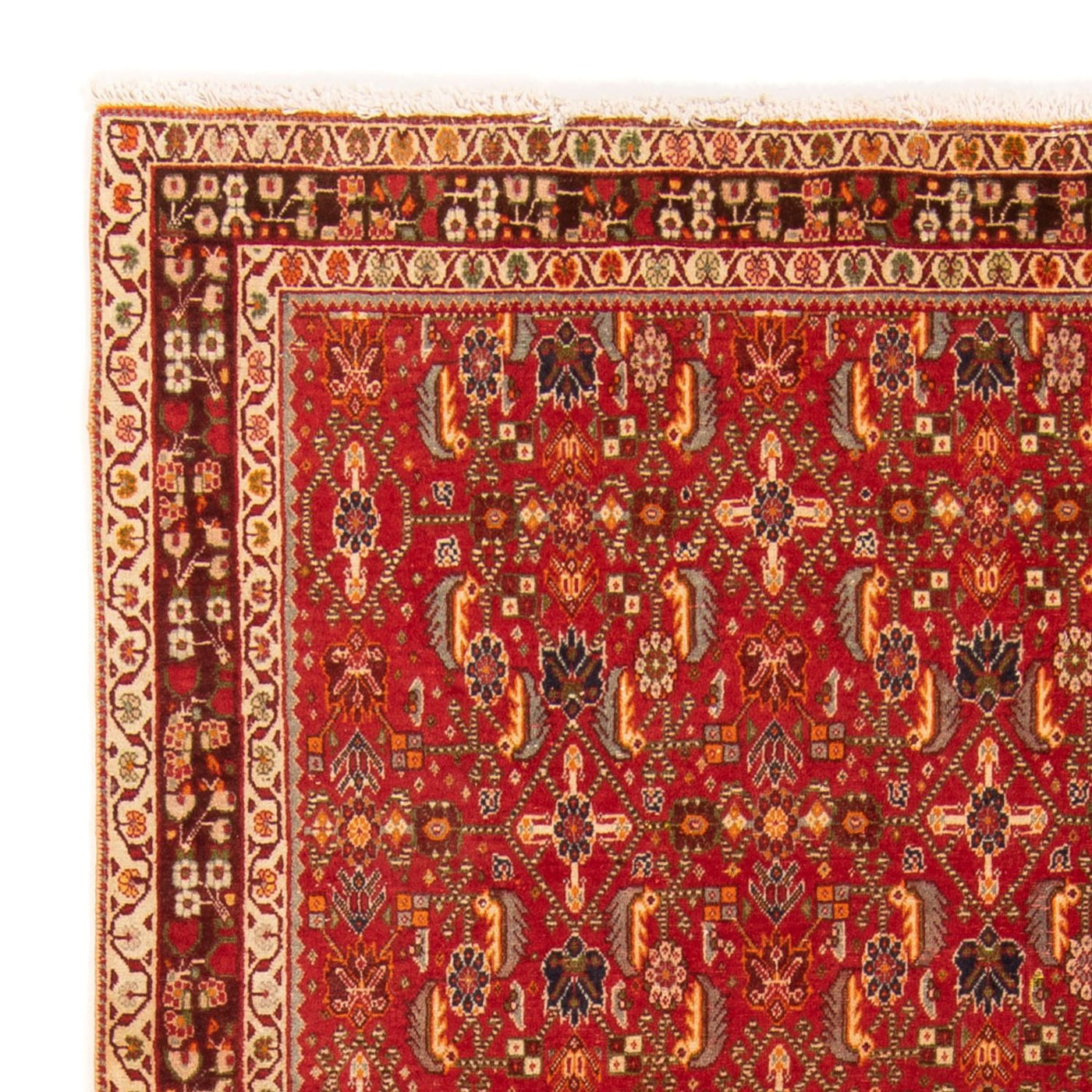 Kaschkuli Tappeto 192x130cm - Tappeto persiano