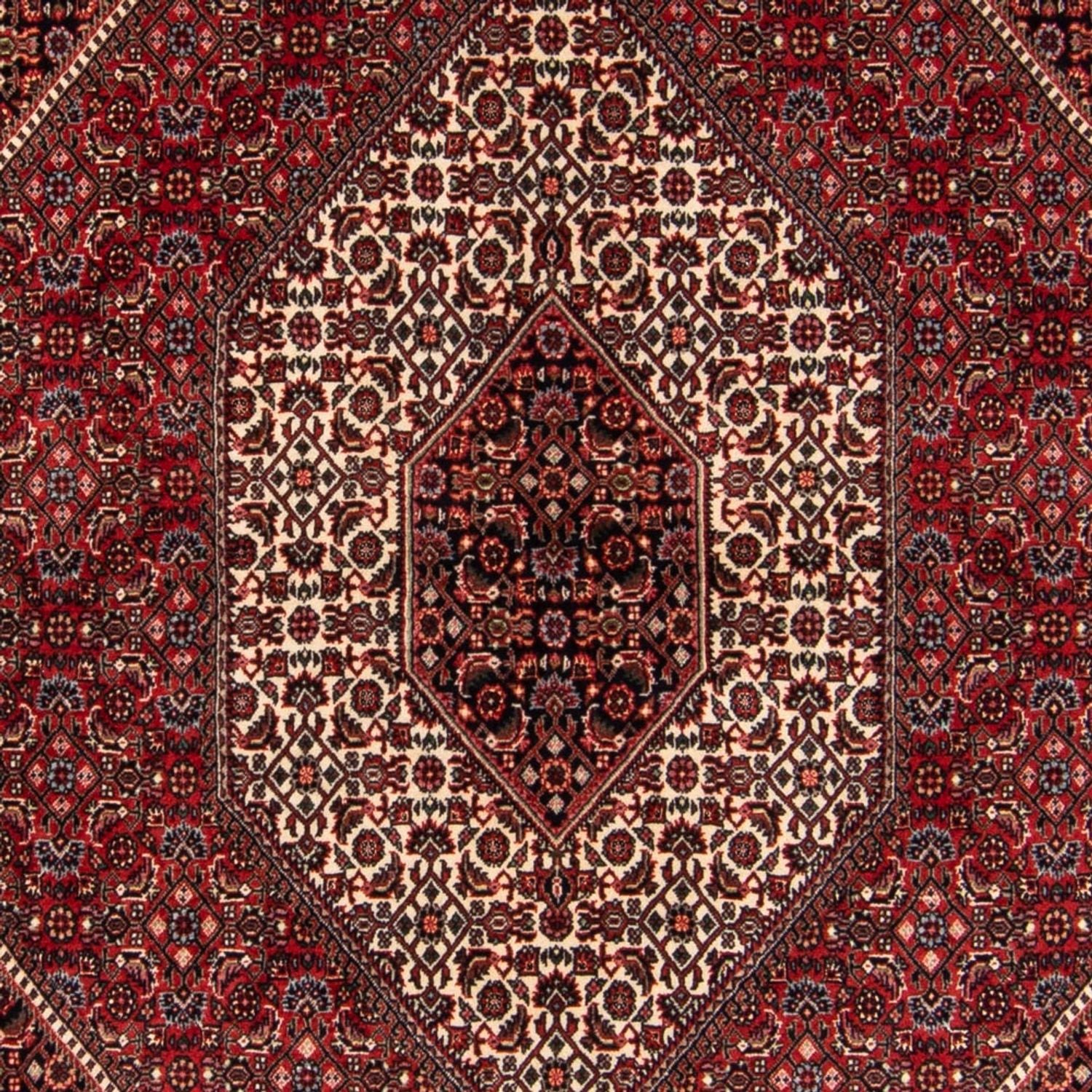 Tappeto Persero - Bidjar - 224 x 144 cm - rosso