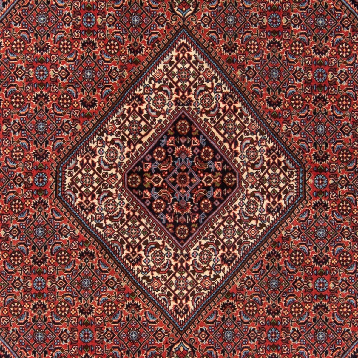 Tappeto Persero - Bidjar - 214 x 160 cm - rosso