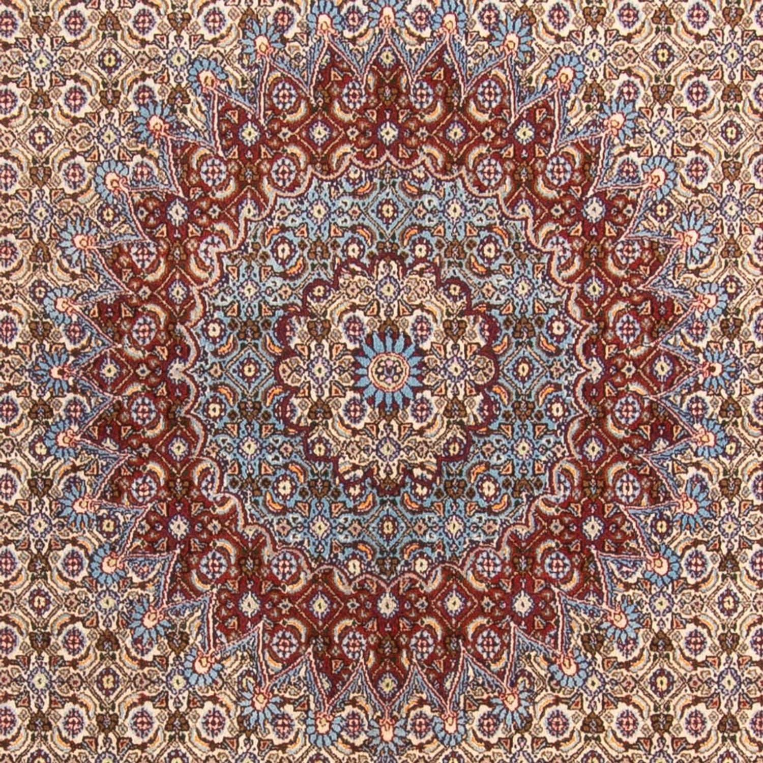 Tappeto Persero - Classico - 303 x 195 cm - beige