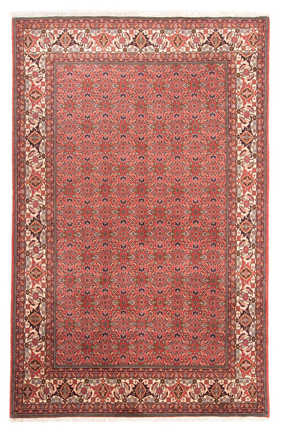 Tappeto Persero - Bidjar - 300 x 198 cm - rosso