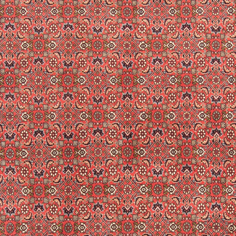 Tappeto Persero - Bidjar - 300 x 198 cm - rosso