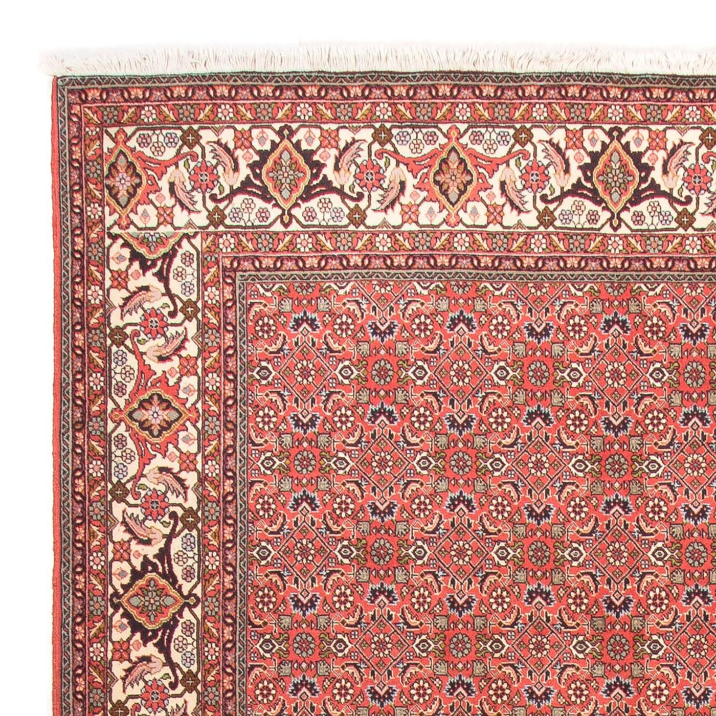 Bidjar - Takab Tappeto 300x198cm - Tappeto persiano