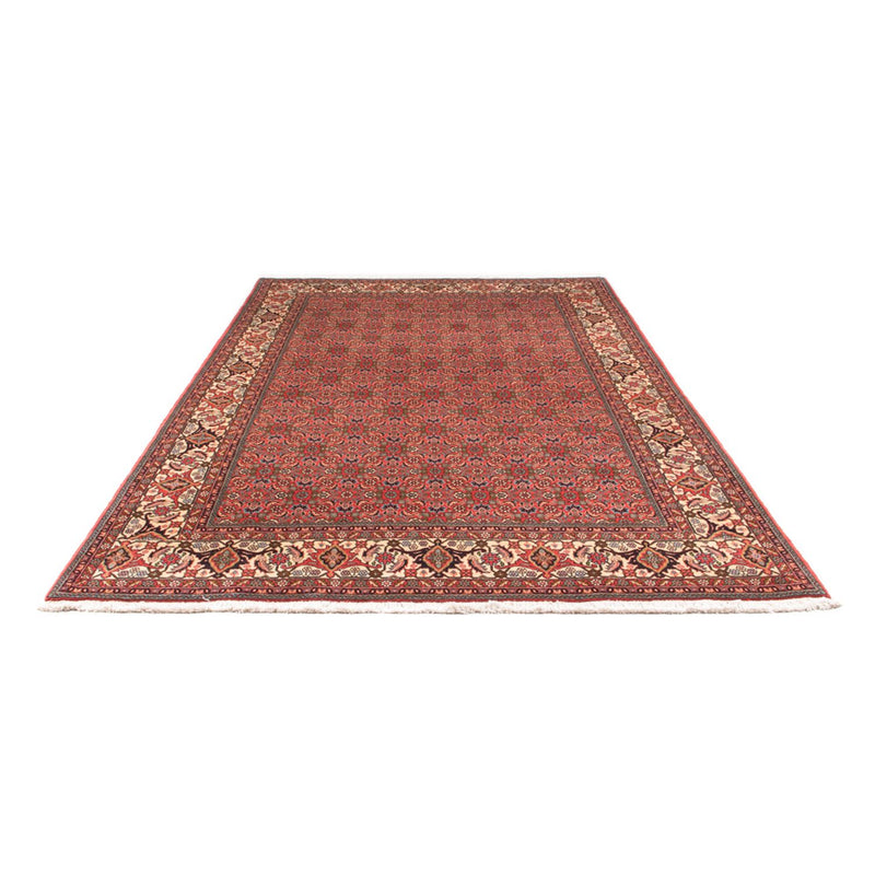 Tappeto Persero - Bidjar - 300 x 198 cm - rosso