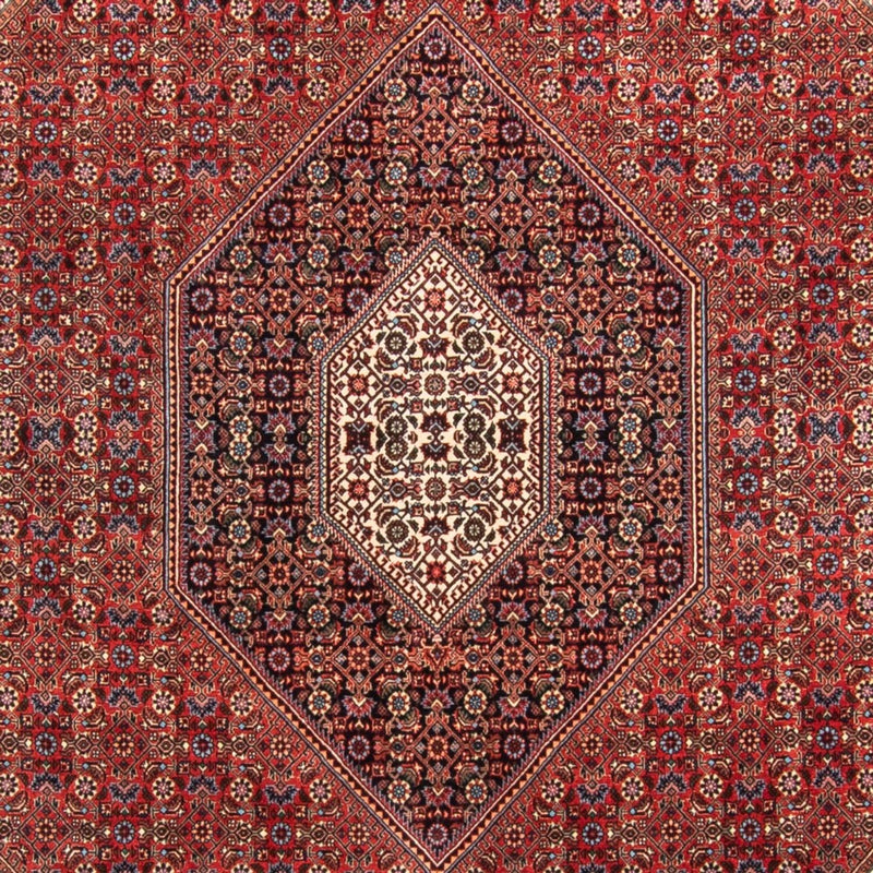 Tappeto Persero - Bidjar - 310 x 205 cm - rosso