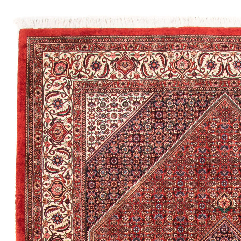 Tappeto Persero - Bidjar - 310 x 205 cm - rosso