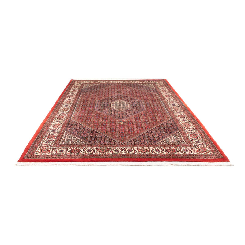Tappeto Persero - Bidjar - 310 x 205 cm - rosso