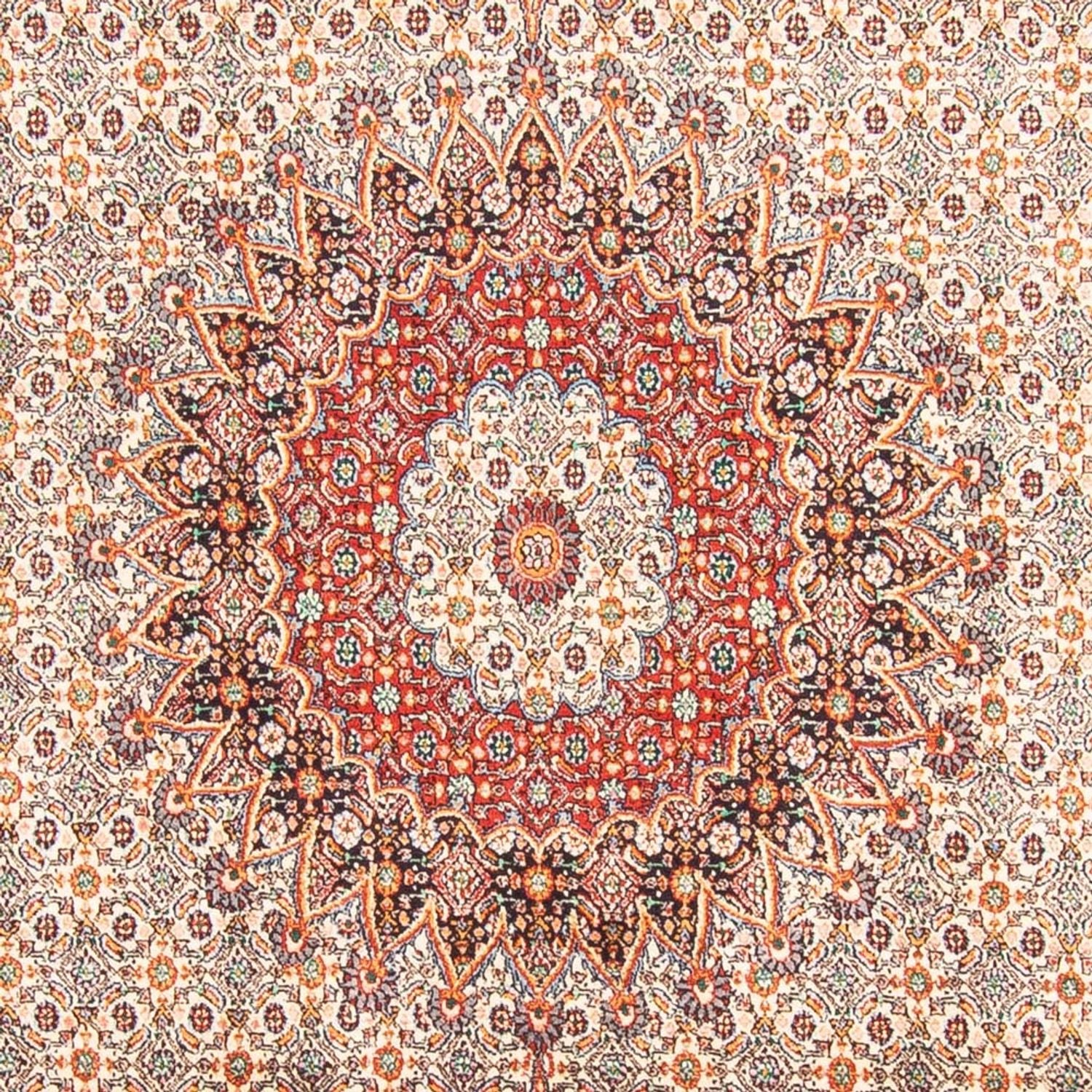 Tappeto Persero - Classico - 299 x 198 cm - beige