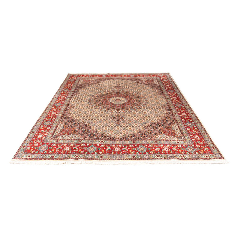 Tappeto Persero - Classico - 299 x 198 cm - beige