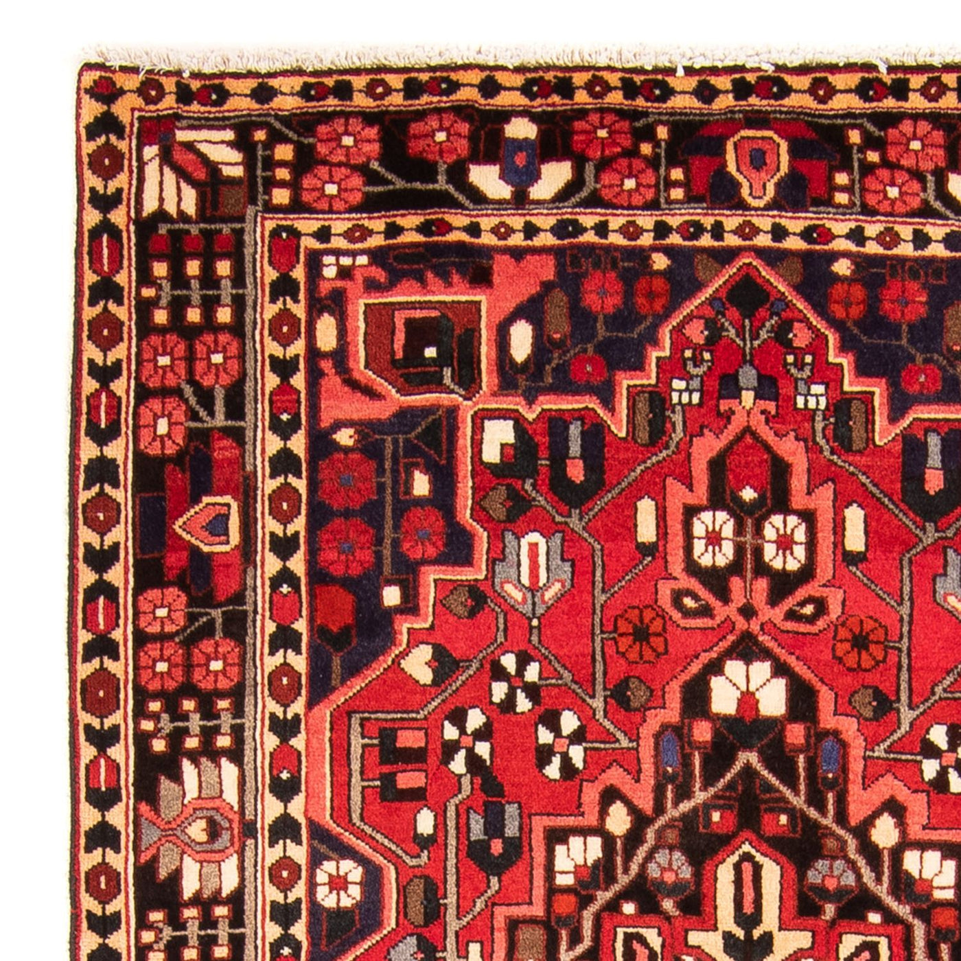 Hamadan Tappeto 160x112cm - Tappeto persiano