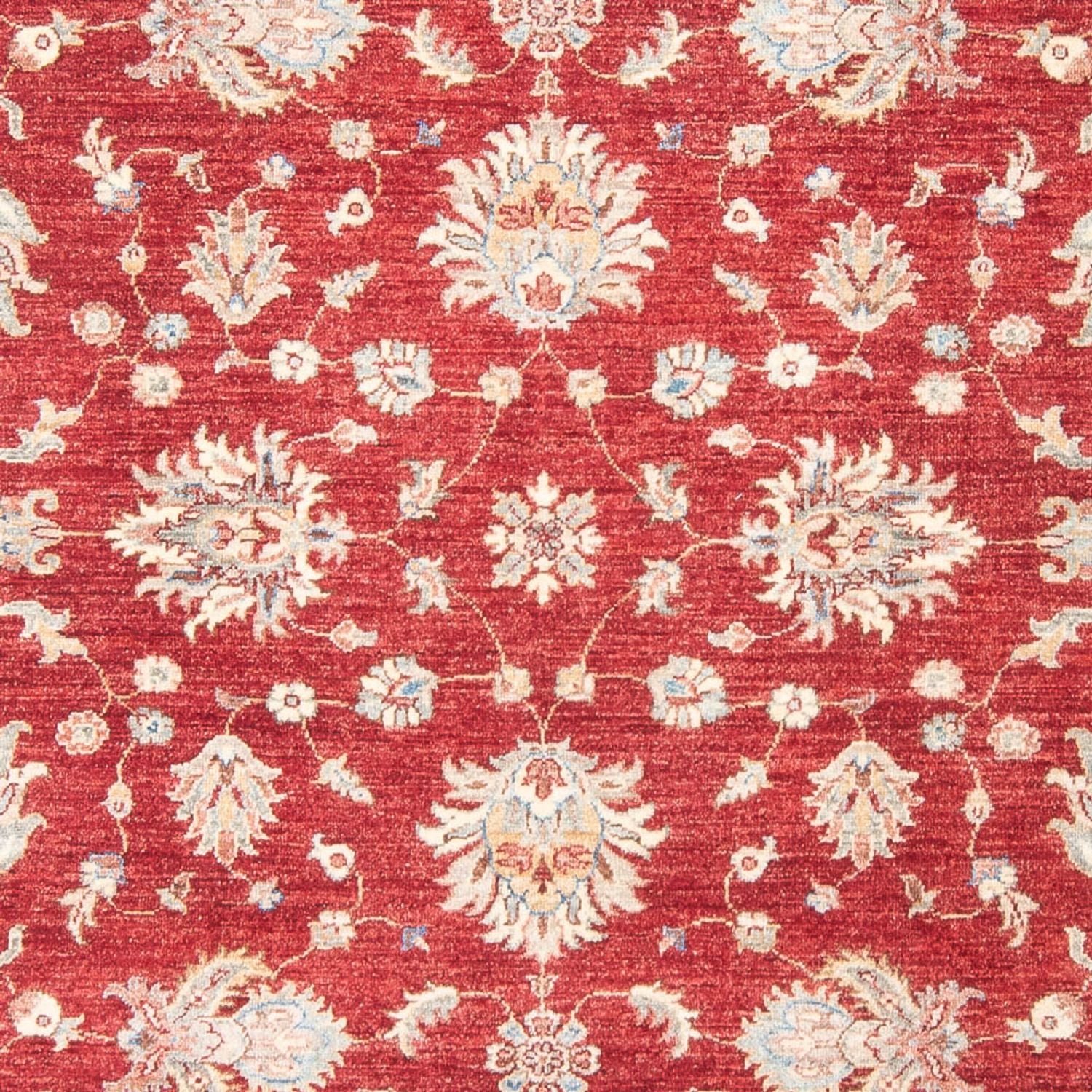 Tappeto Ziegler - 243 x 178 cm - rosso