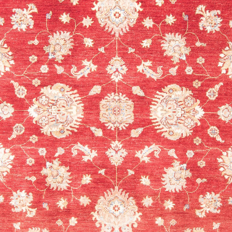 Tappeto Ziegler - 258 x 182 cm - rosso