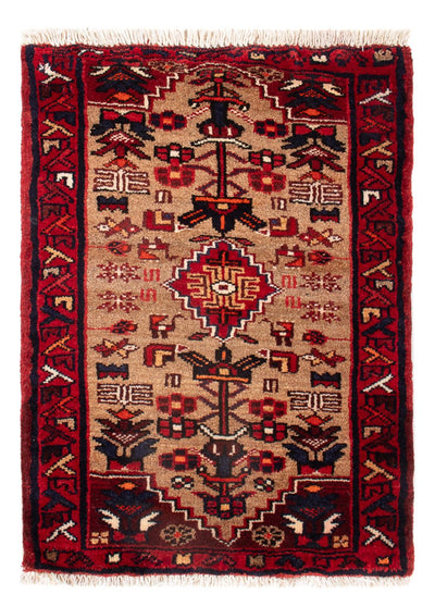 Malayer Tappeto 50x66cm - Tappeto persiano
