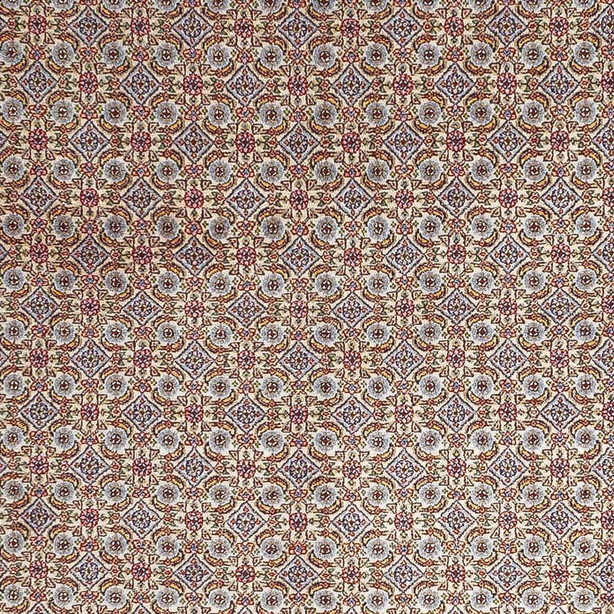 Tappeto Persero - Classico - 238 x 164 cm - grigio chiaro