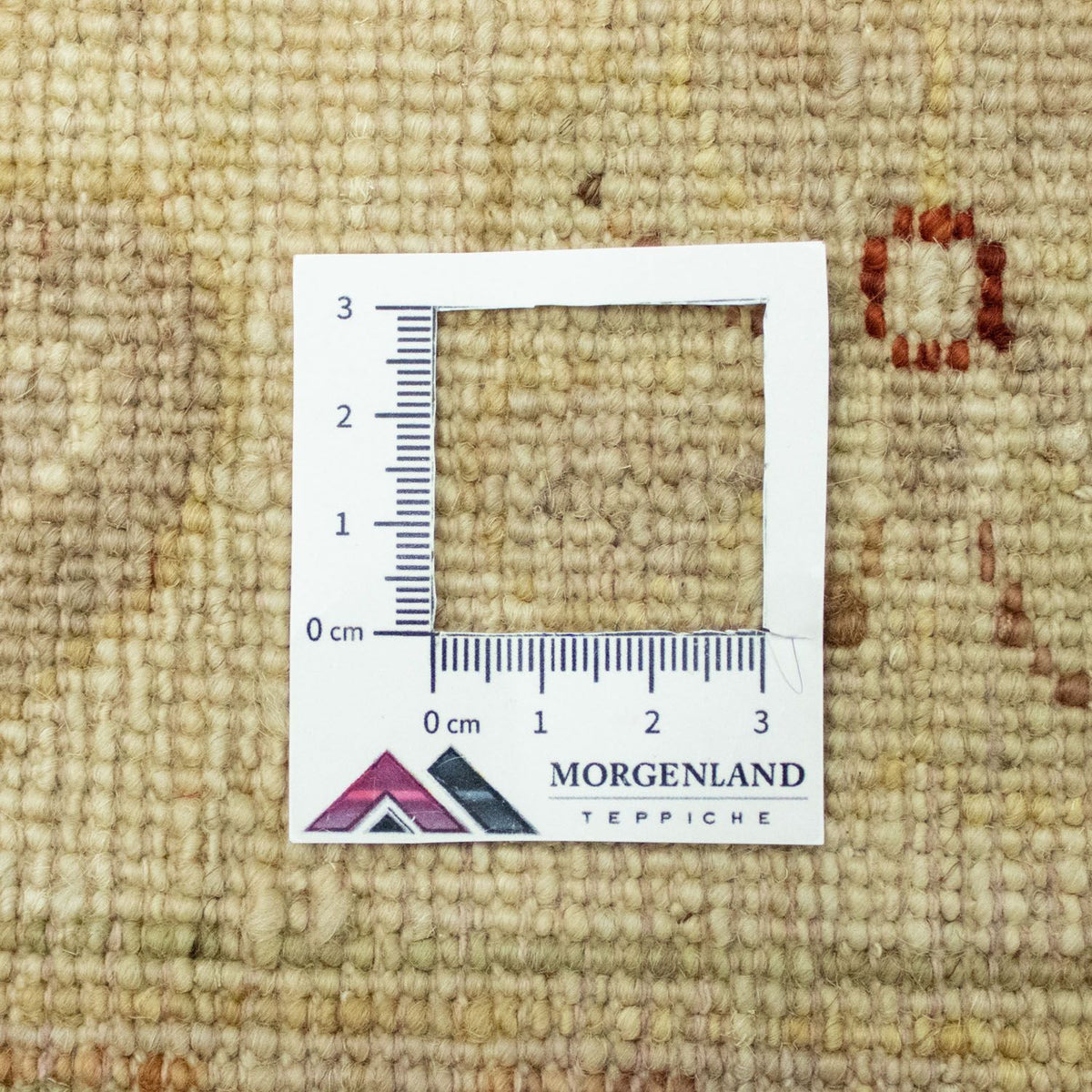 Tappeto Ziegler - 195 x 135 cm - rosso