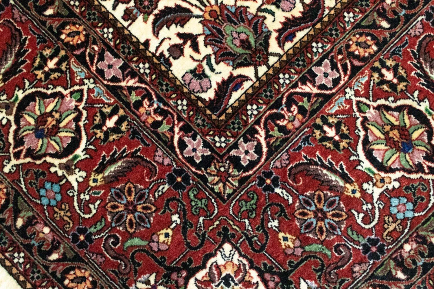 Tappeto Persero - Bidjar - 347 x 255 cm - rosa