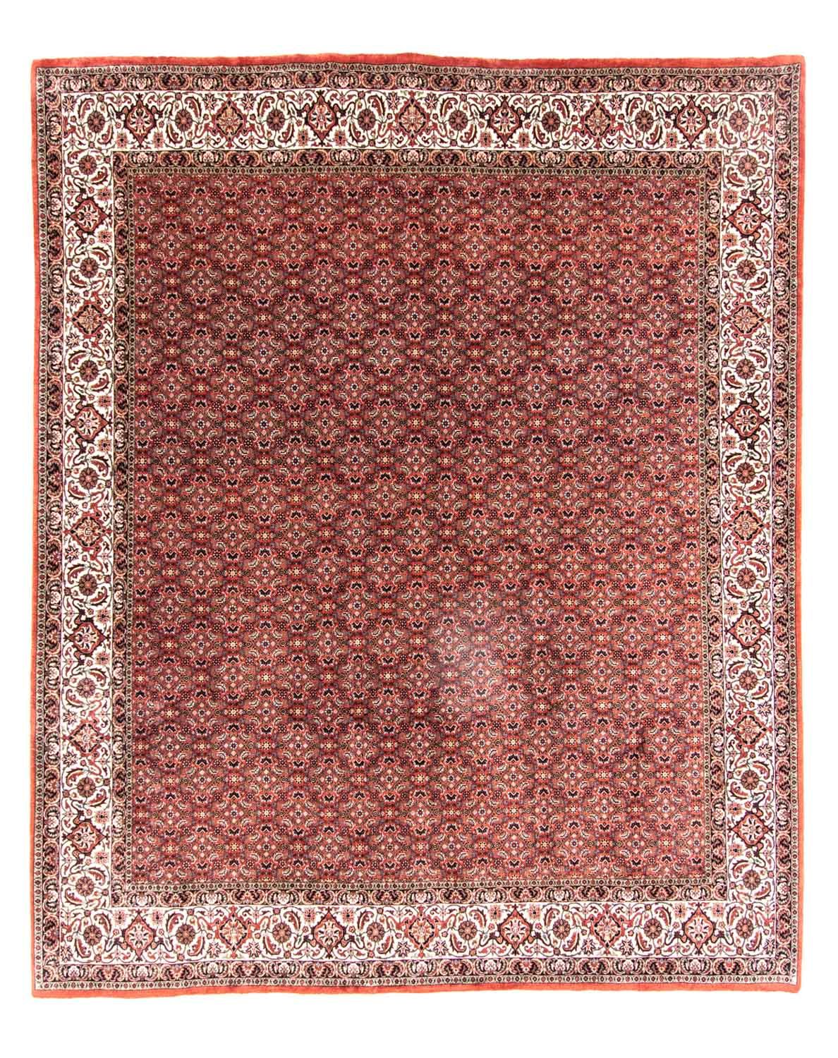 Tappeto Persero - Bidjar - 301 x 256 cm - marrone