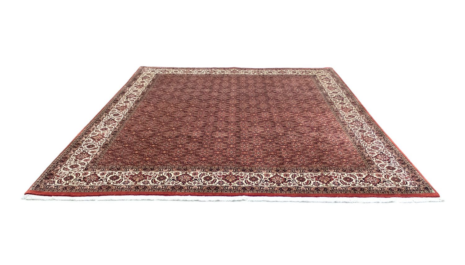Tappeto Persero - Bidjar - 301 x 256 cm - marrone