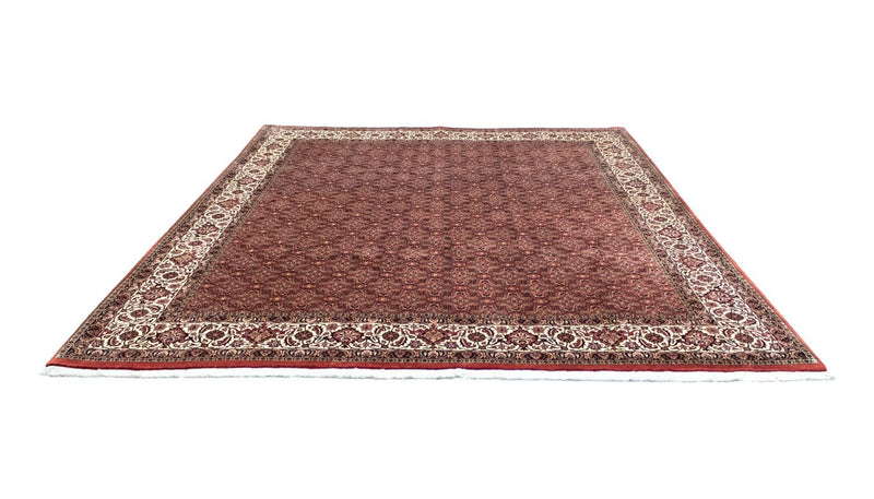 Tappeto Persero - Bidjar - 301 x 256 cm - marrone