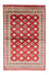 Tappeto Pakistani - 181 x 125 cm - rosso