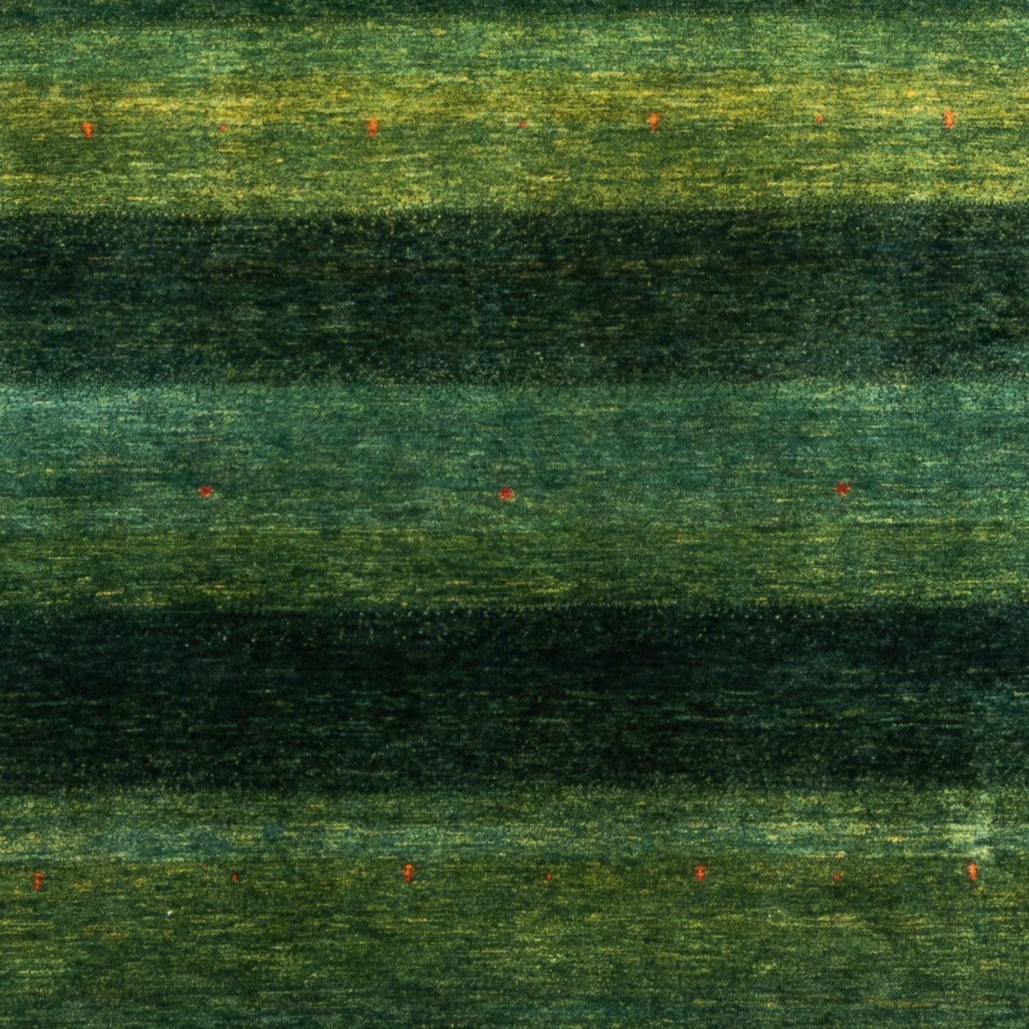 Tappeto Gabbeh - Loribaft Persero - 309 x 226 cm - verde