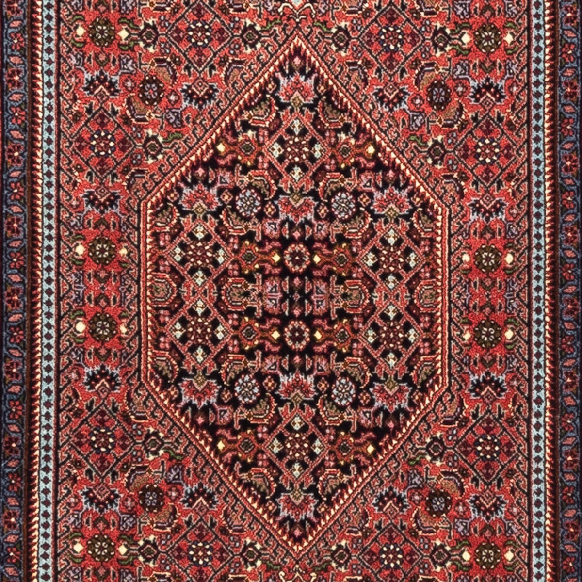 Tappeto corsia Tappeto Persero - Bidjar - 230 x 74 cm - rosso