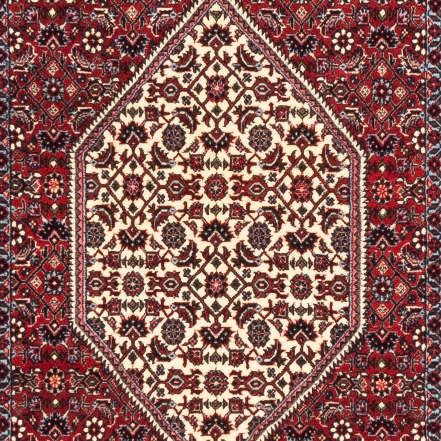 Tappeto corsia Tappeto Persero - Bidjar - 228 x 78 cm - crema