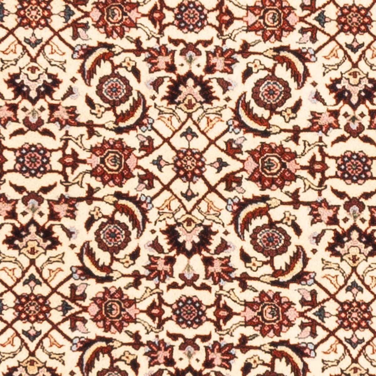 Tappeto corsia Tappeto Persero - Bidjar - 300 x 80 cm - crema