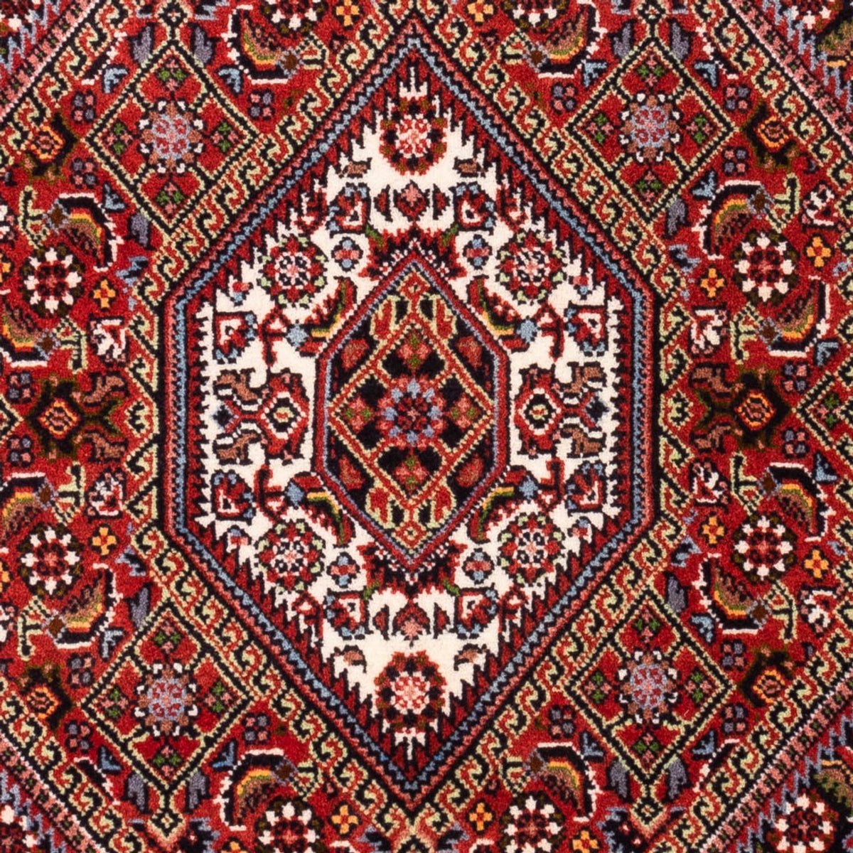 Tappeto Persero - Bidjar - 106 x 70 cm - rosso