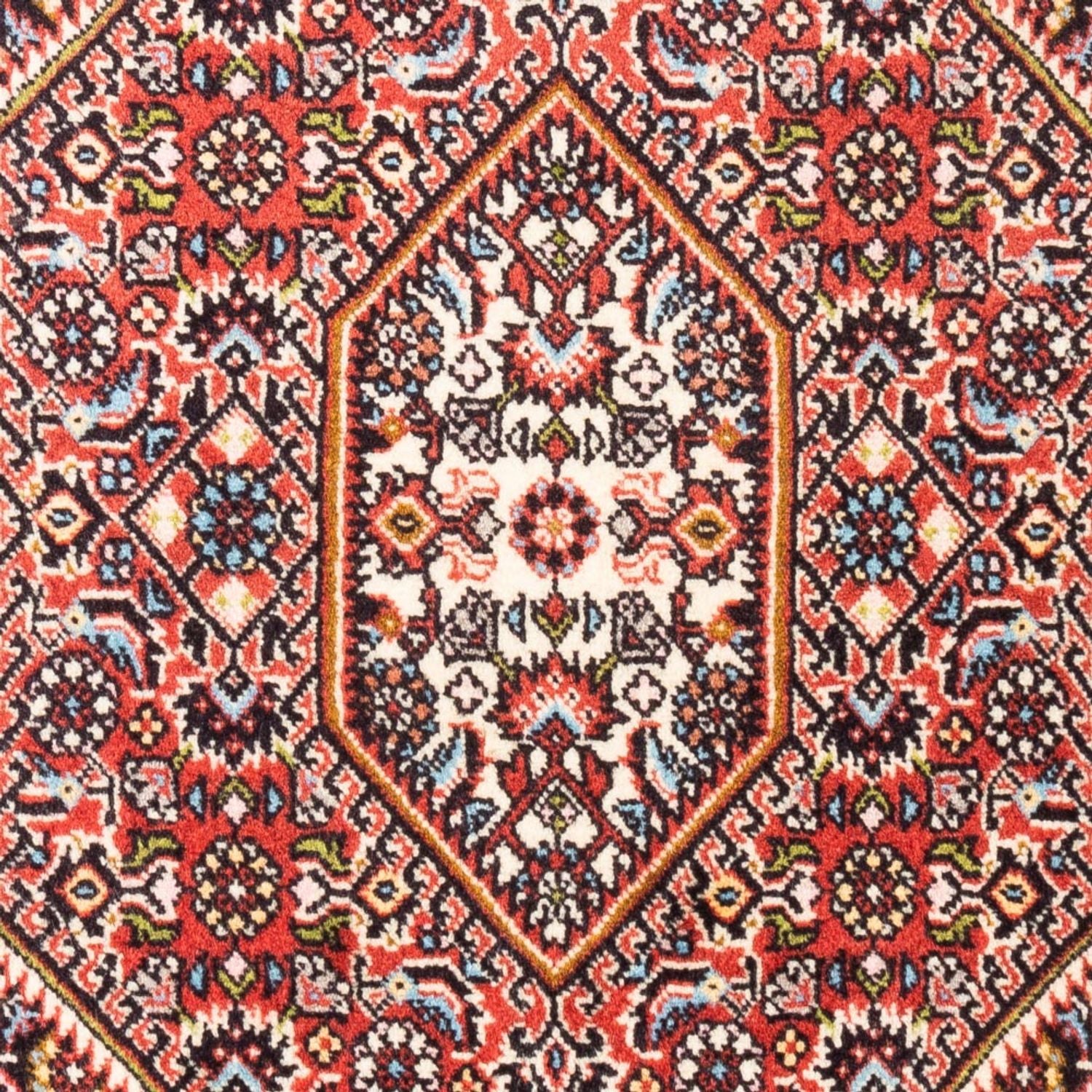 Tappeto Persero - Bidjar - 108 x 74 cm - rosso