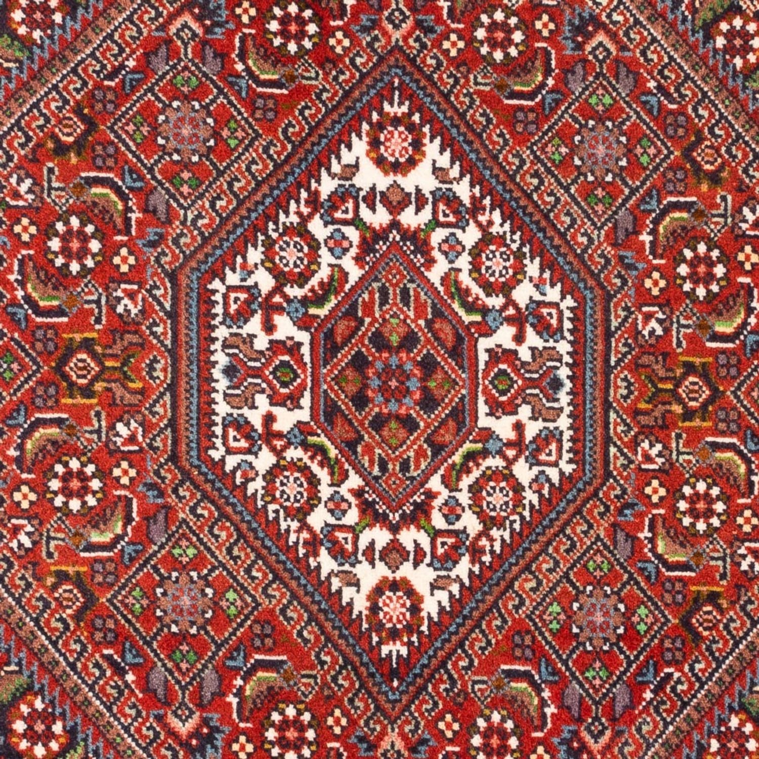 Tappeto Persero - Bidjar - 100 x 72 cm - rosso