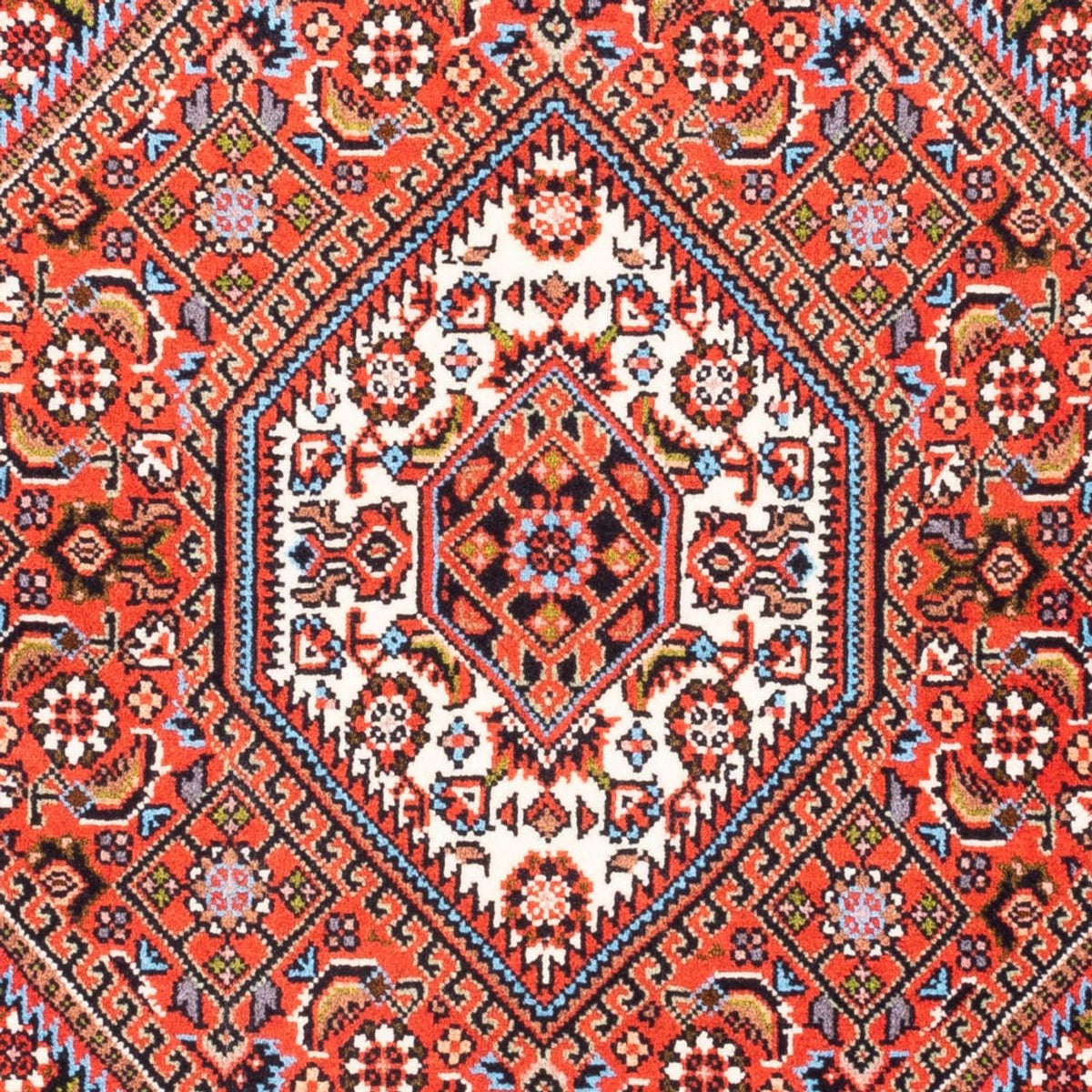 Tappeto Persero - Bidjar - 90 x 77 cm - rosso