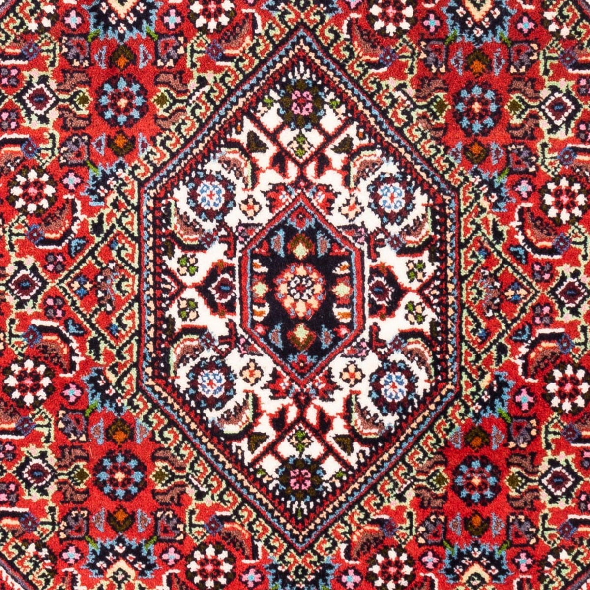 Tappeto Persero - Bidjar - 104 x 70 cm - rosso