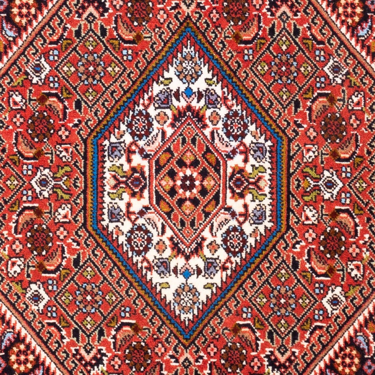 Tappeto Persero - Bidjar - 104 x 72 cm - rosso