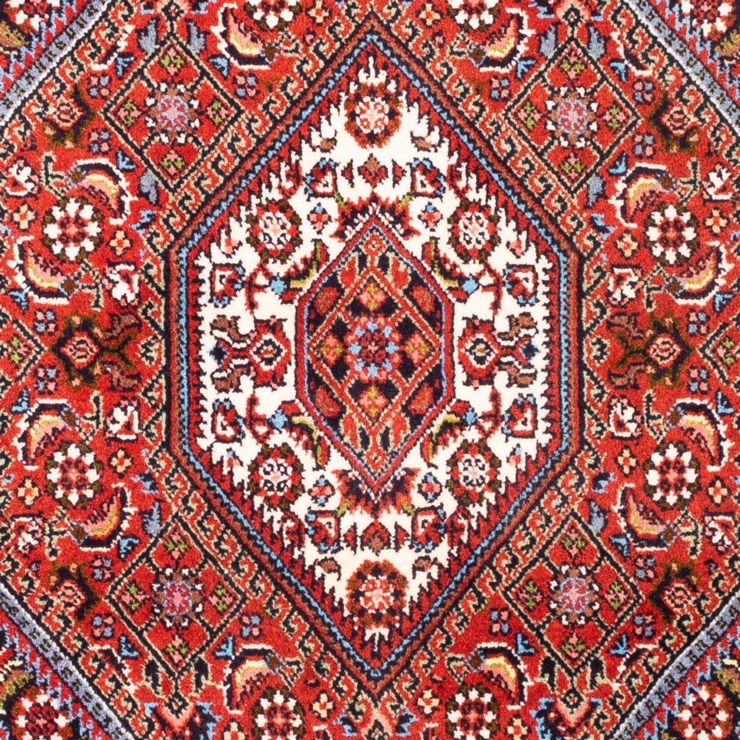 Tappeto Persero - Bidjar - 102 x 72 cm - rosso