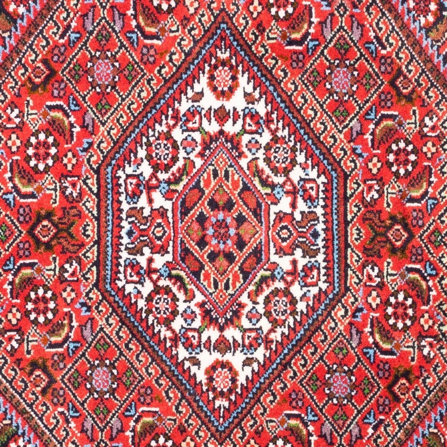 Tappeto Persero - Bidjar - 108 x 70 cm - rosso