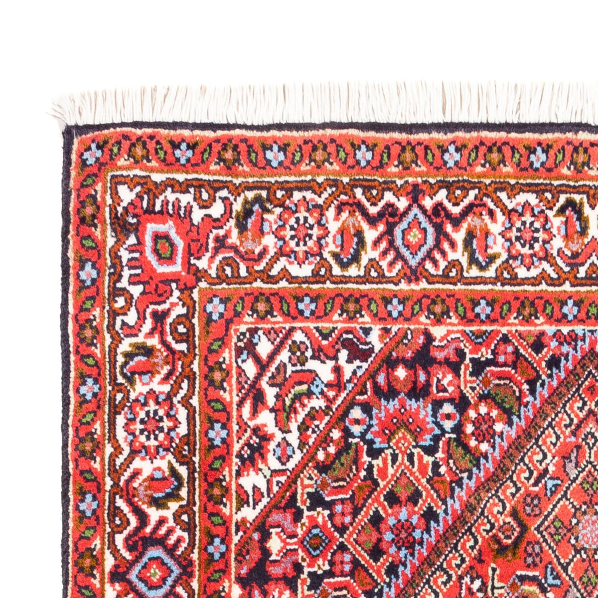 Bidjar - Bukan Tappeto 70x108cm - Tappeto persiano