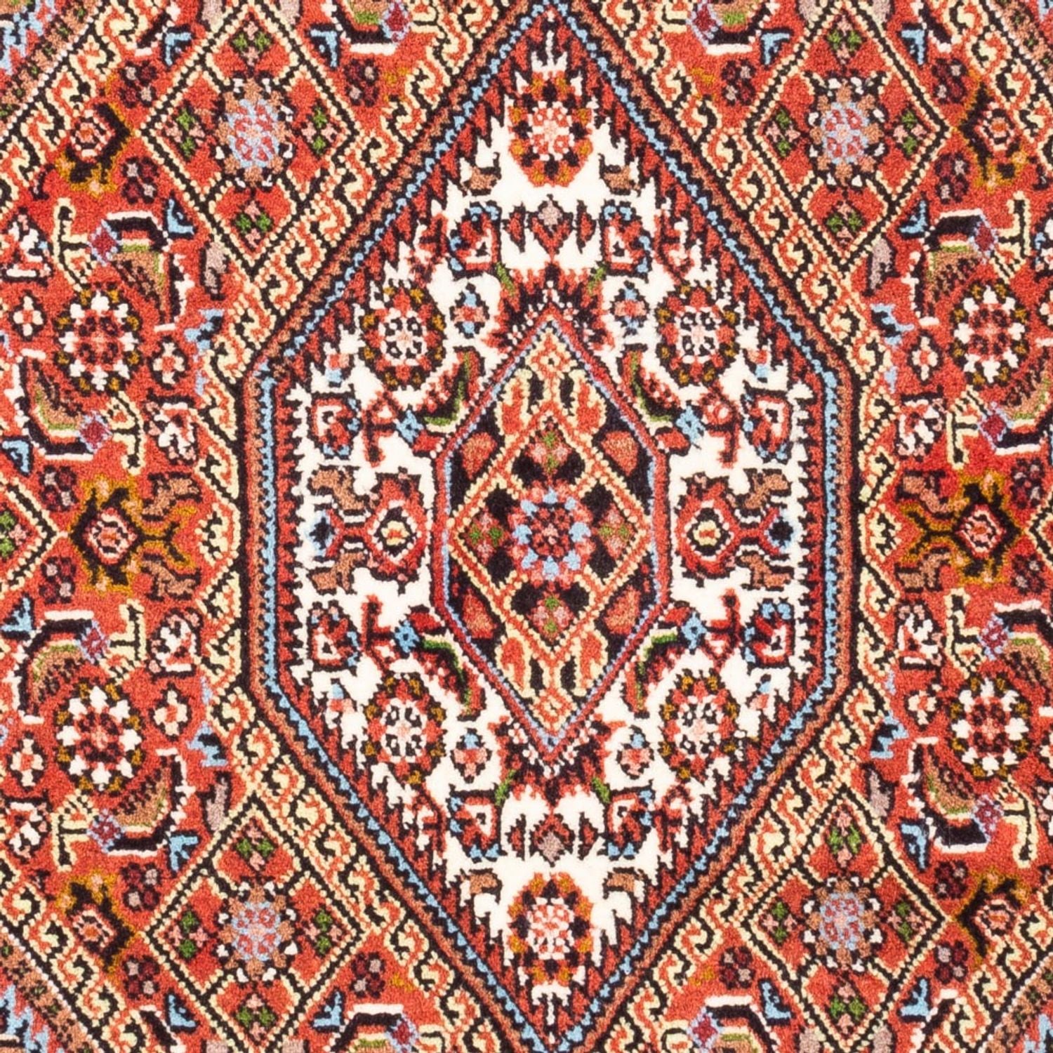 Tappeto Persero - Bidjar - 113 x 70 cm - rosso