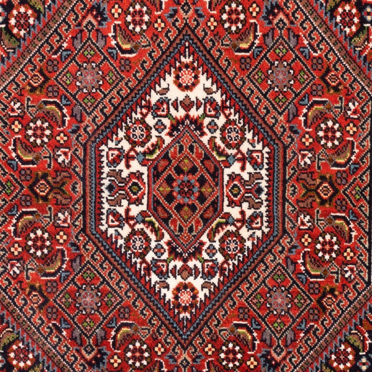 Tappeto Persero - Bidjar - 104 x 70 cm - rosso