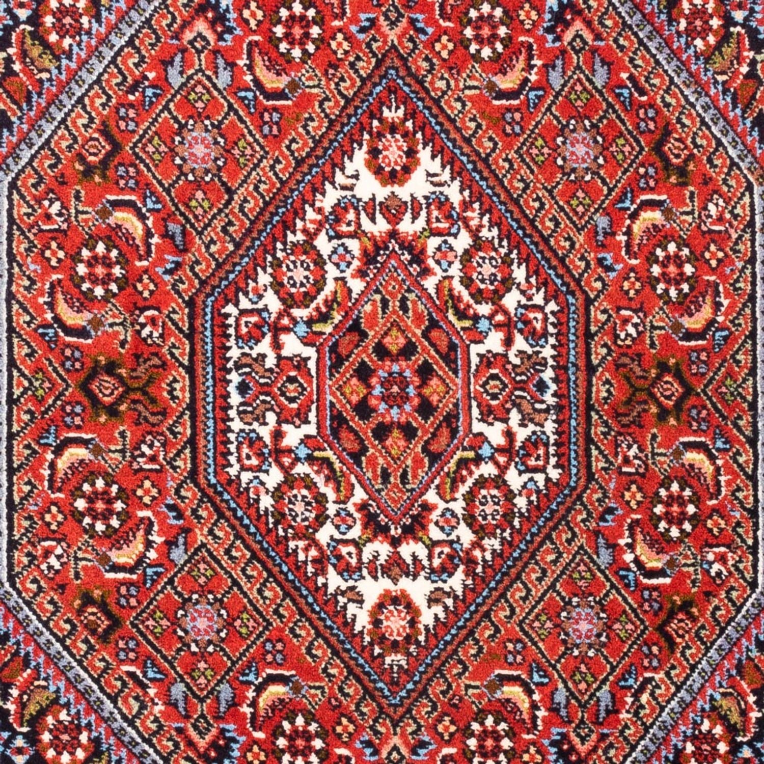 Tappeto Persero - Bidjar - 105 x 70 cm - rosso