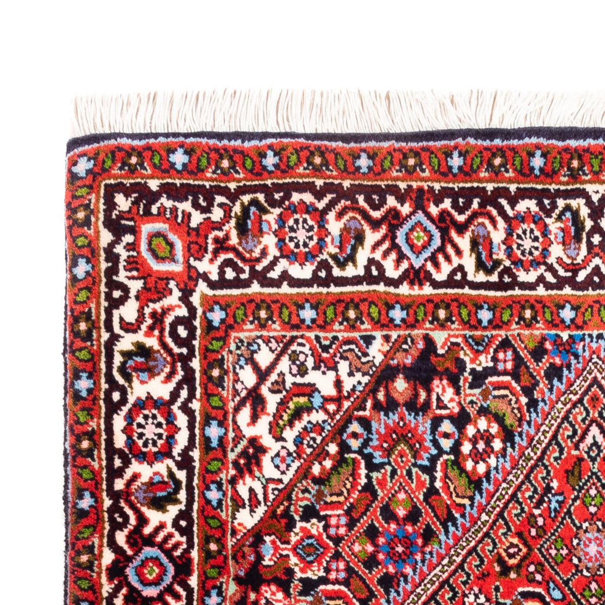 Bidjar - Bukan Tappeto 72x104cm - Tappeto persiano