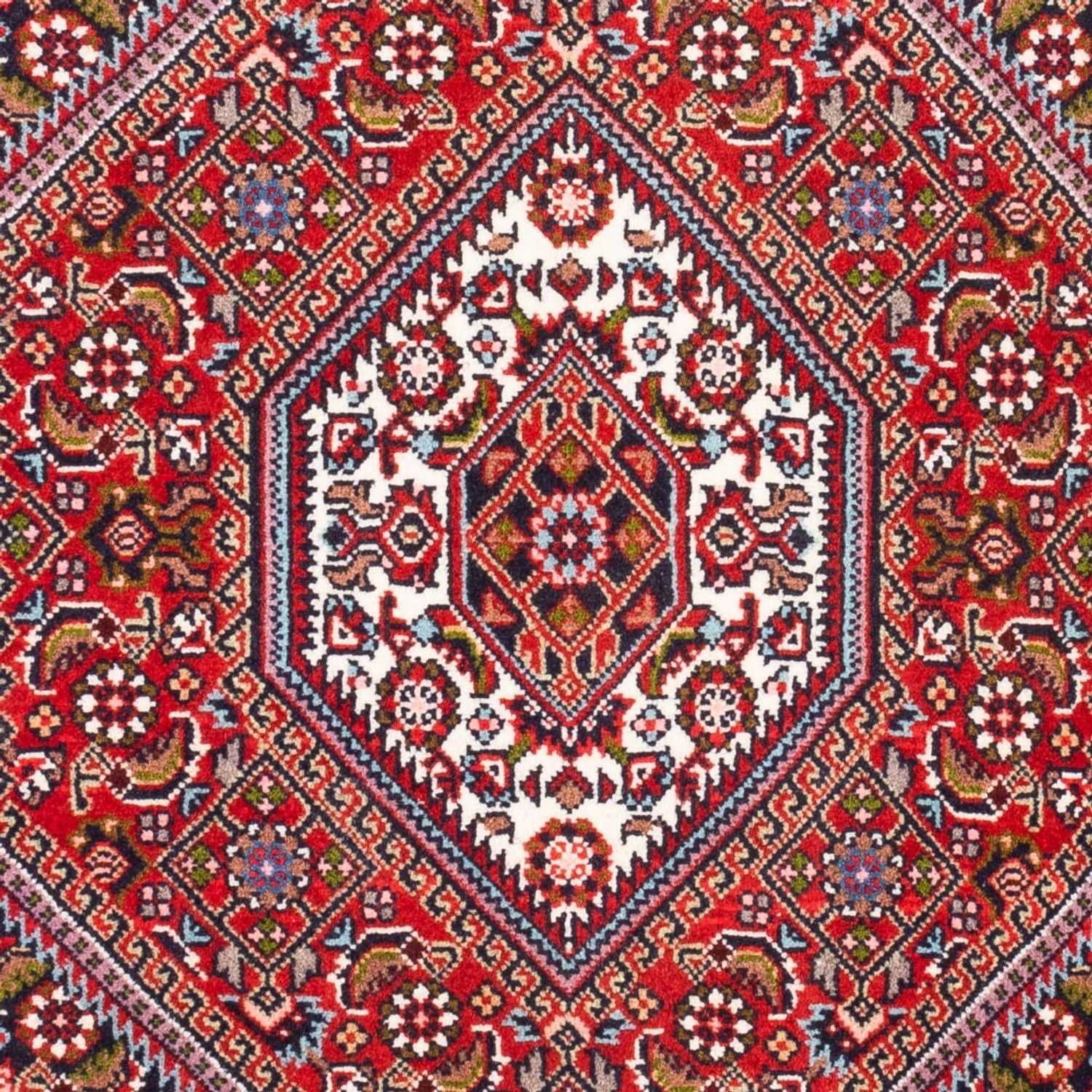 Tappeto Persero - Bidjar - 94 x 72 cm - rosso