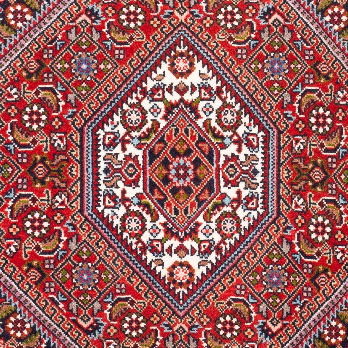 Tappeto Persero - Bidjar - 94 x 72 cm - rosso